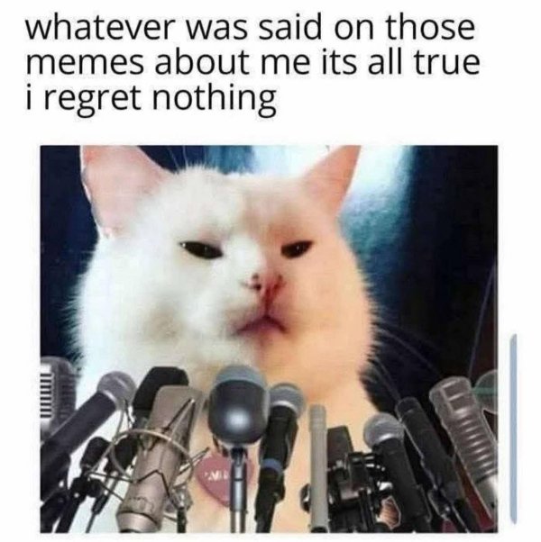 Funny Memes (23 pics)