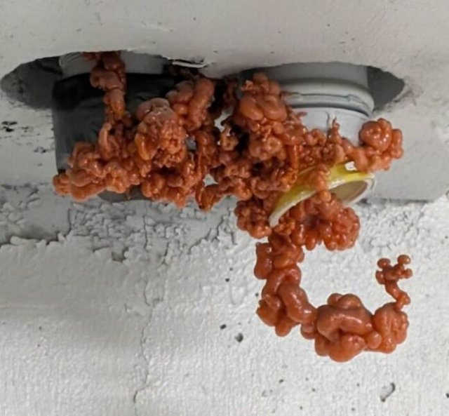 Epic Fails (46 pics)