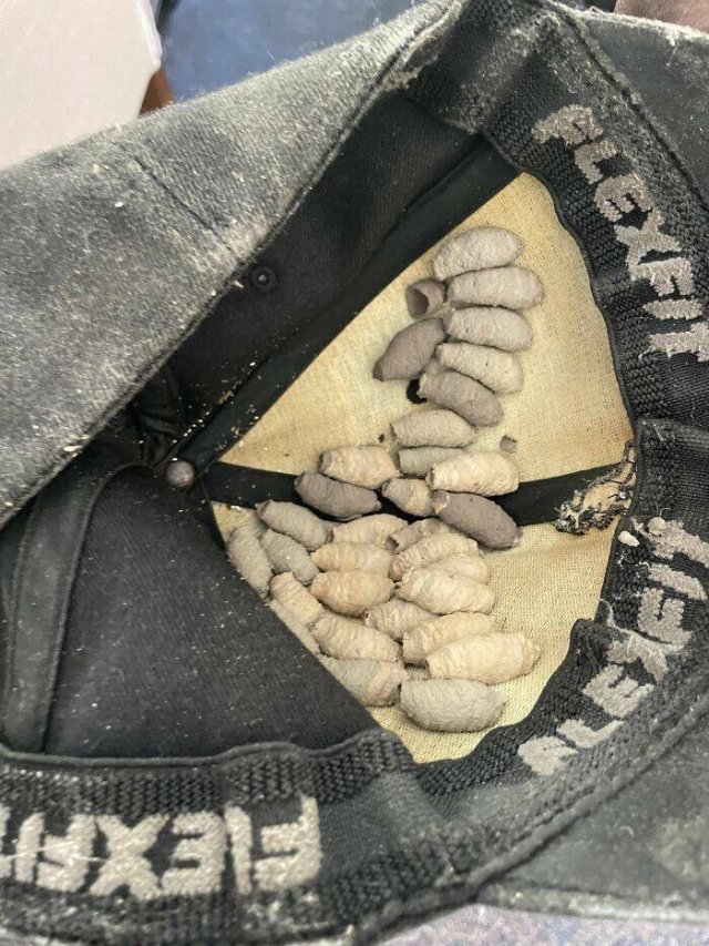 Epic Fails (46 pics)