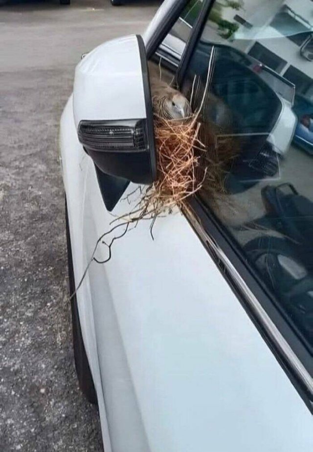 Epic Fails (46 pics)