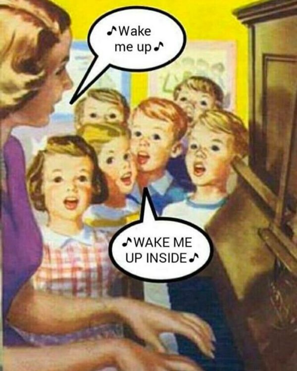 Truthful Jokes (25 pics)