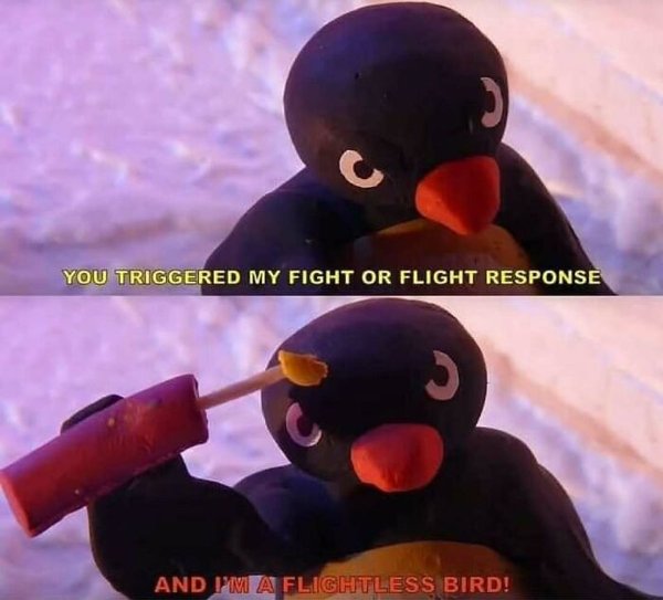 Truthful Jokes (25 pics)