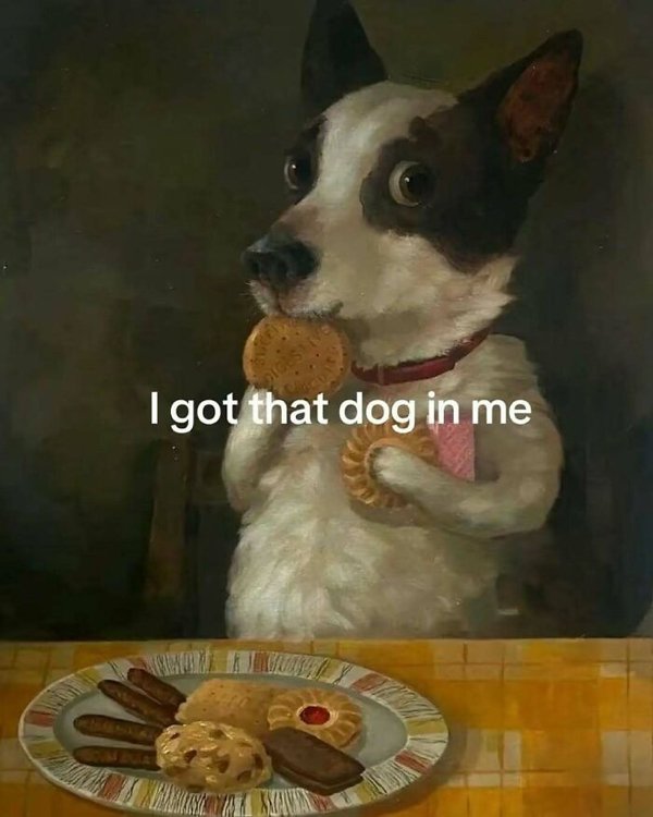 Truthful Jokes (25 pics)