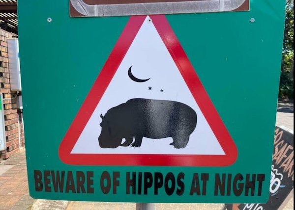 Funny Signs (24 pics)