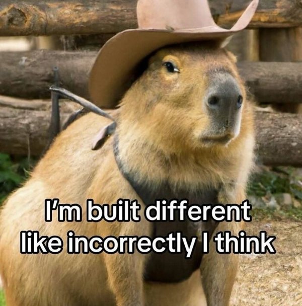 Truthful Jokes (25 pics)
