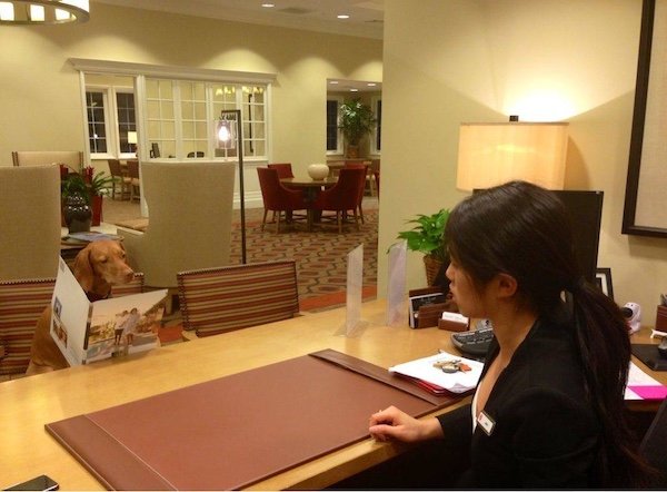 Hilarious Work Photos (26 pics)