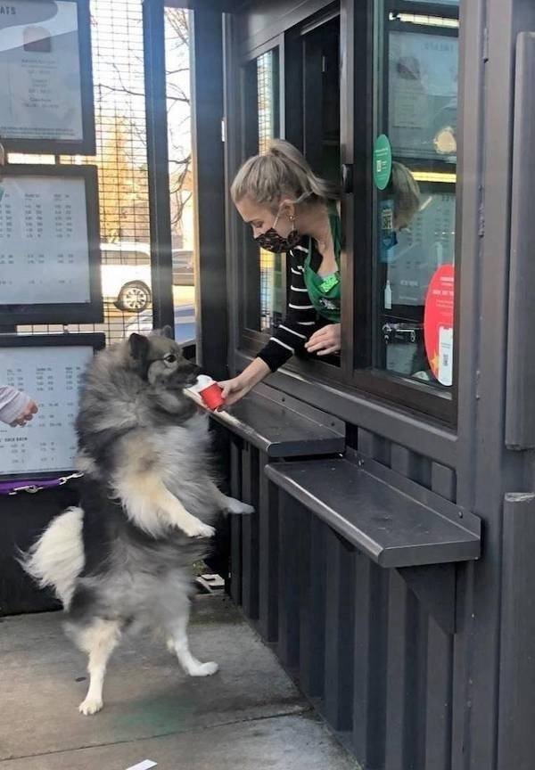 Hilarious Work Photos (26 pics)