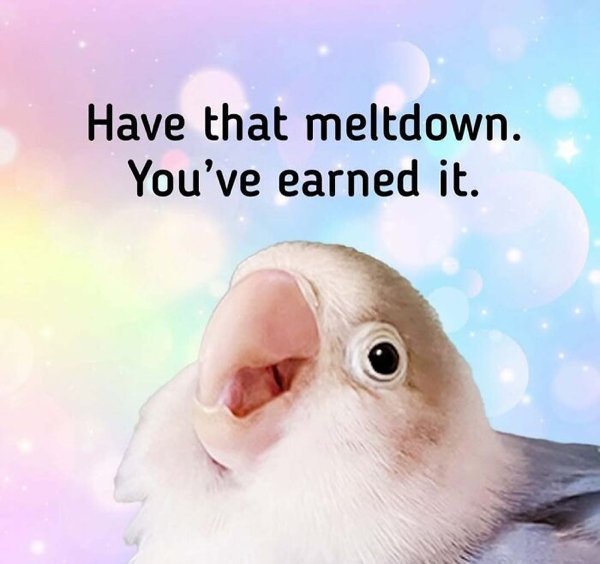 Truthful Jokes (25 pics)
