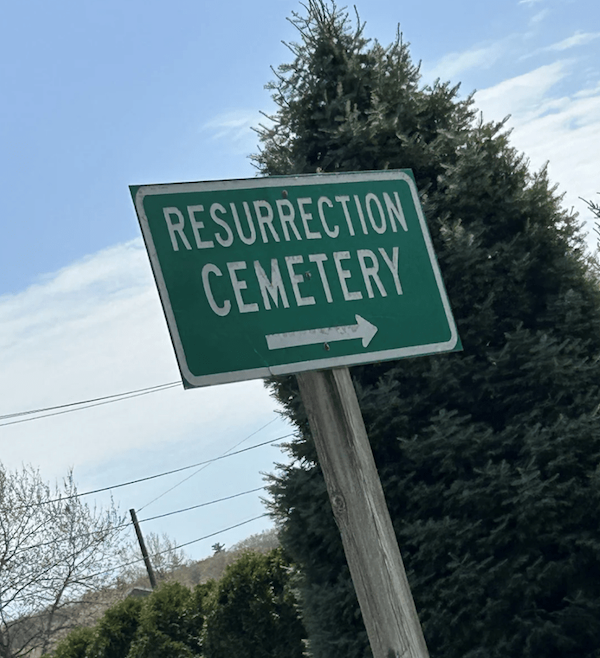 Funny Signs (24 pics)