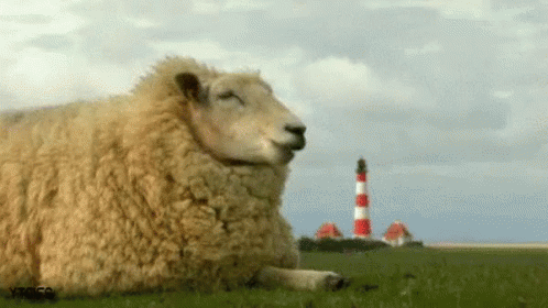 Useful Tips For Survival (17 gifs) Useful Tips For Survival (17 gifs)