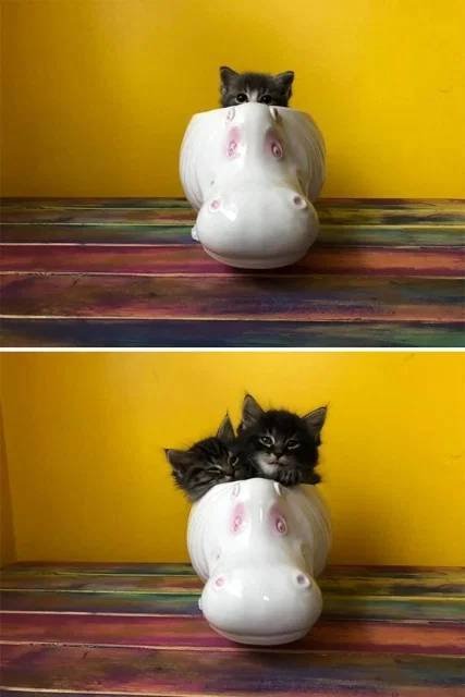 Odd Things From Thrift Shops (30 pics)