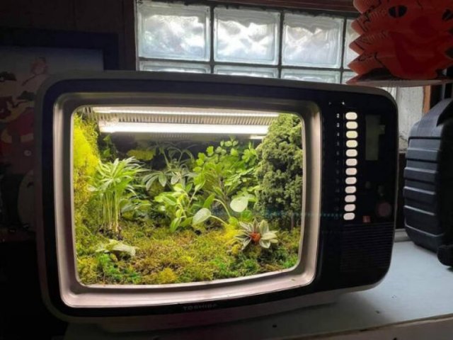 Wild Gardening (28 pics)