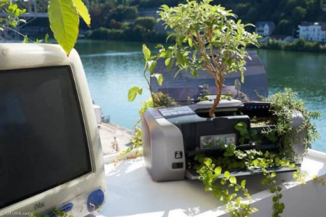 Wild Gardening (28 pics)