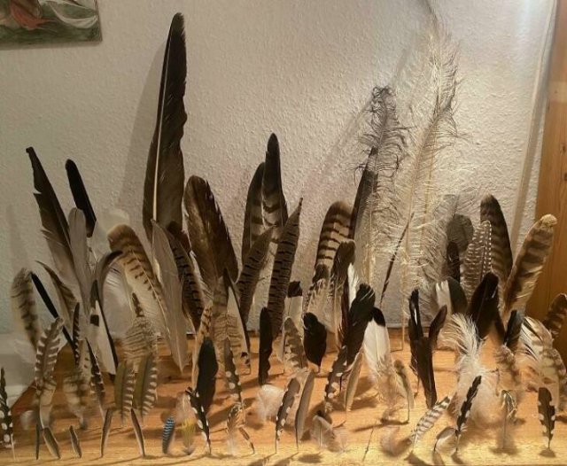 Cool And Interesting Collections (25 pics)