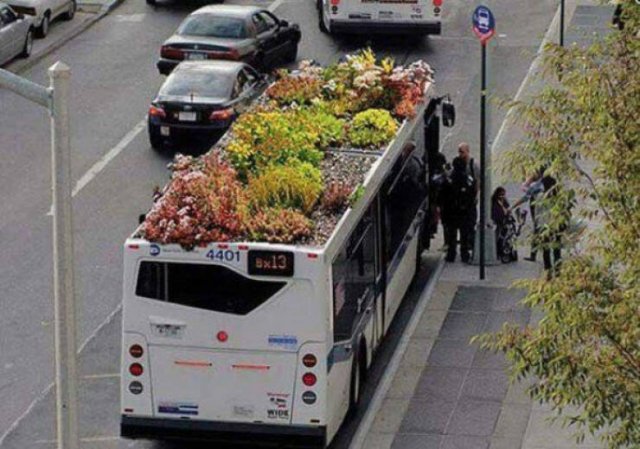 Wild Gardening (28 pics)