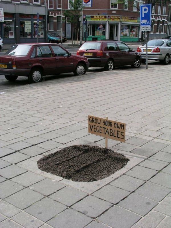 Wild Gardening (28 pics)