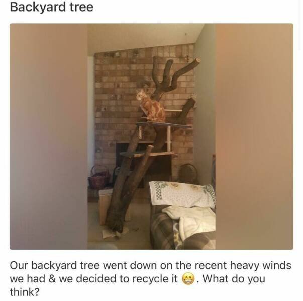 Weird Thing And Designs (25 pics)