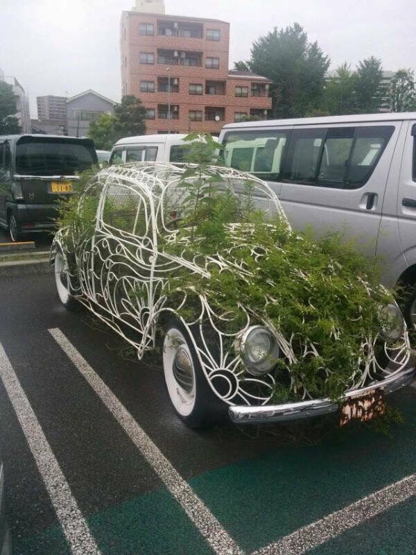Wild Gardening (28 pics)
