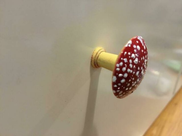 Weird Thing And Designs (25 pics)