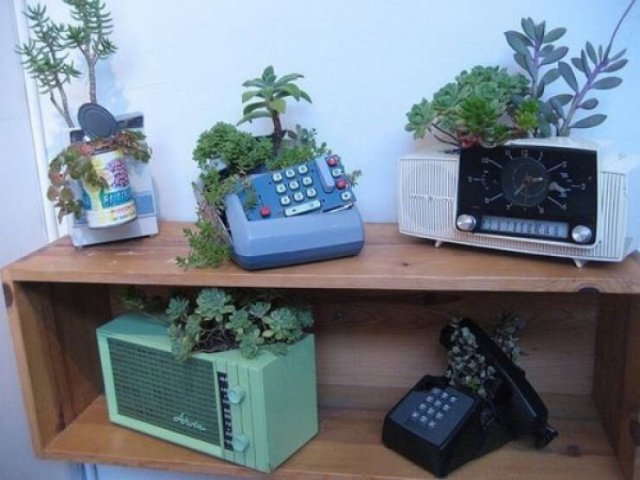 Wild Gardening (28 pics)