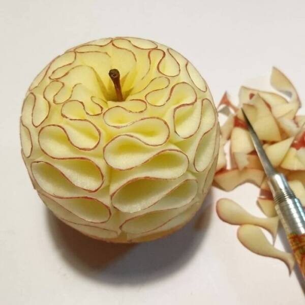 Weird Thing And Designs (25 pics)