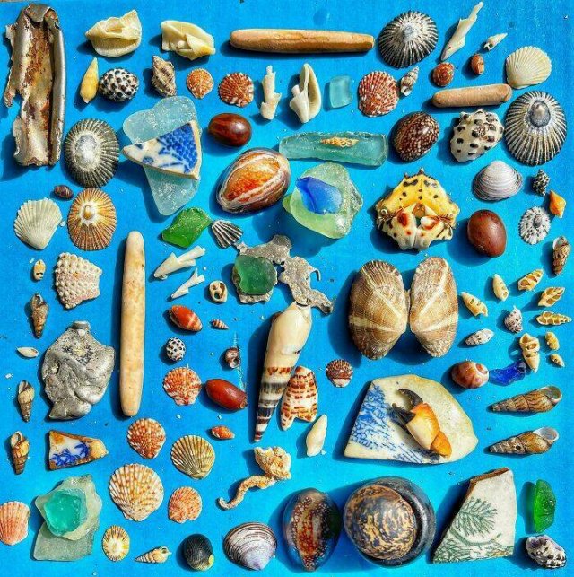Cool And Interesting Collections (25 pics)
