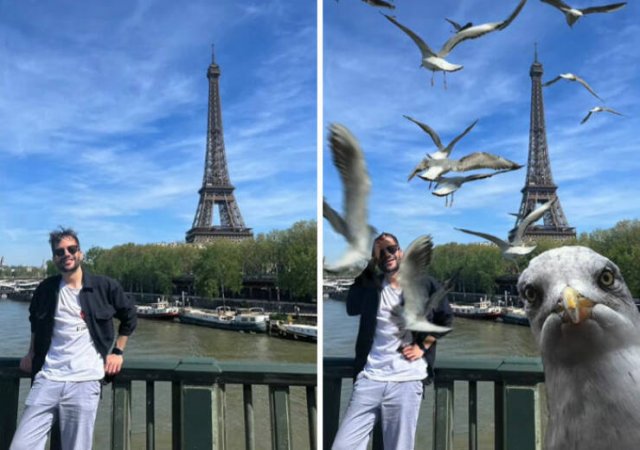 Funny Photoshop (24 pics)