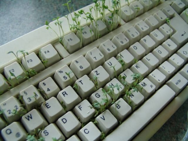 Wild Gardening (28 pics)
