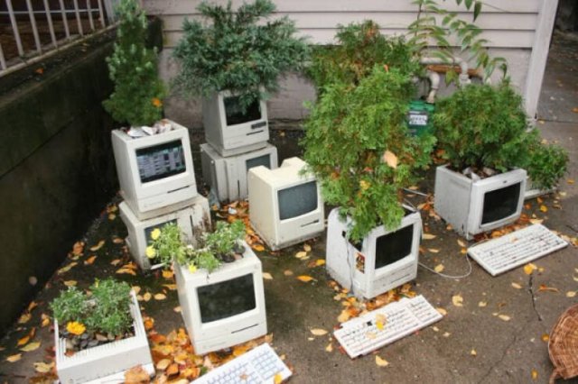 Wild Gardening (28 pics)