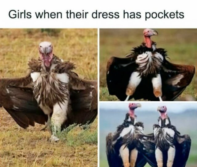 Funny Post And Stories (23 pics)