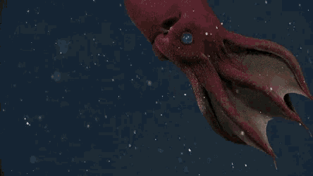 Random Facts (20 gifs) Random Facts (20 gifs)