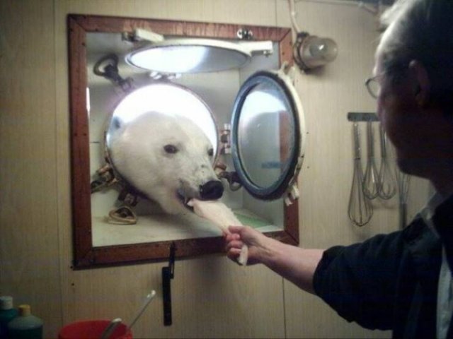 Interesting Finds From Around The World (23 pics)