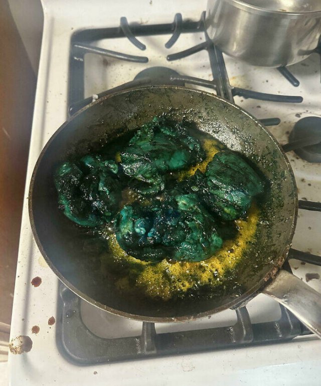 Cooking Disasters (24 pics)
