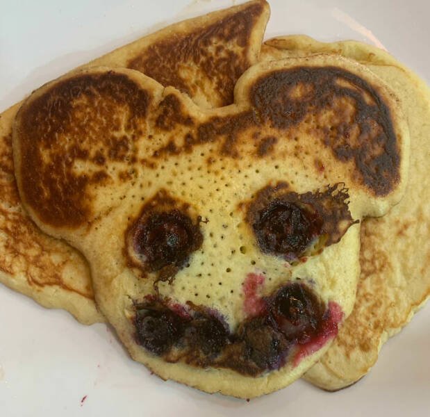 Cooking Disasters (24 pics)