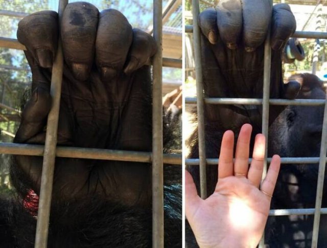 Interesting Finds From Around The World (23 pics)
