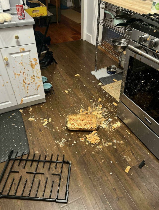 Cooking Disasters (24 pics)