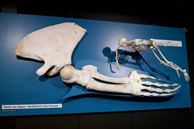 Interesting Finds From Around The World (23 pics)