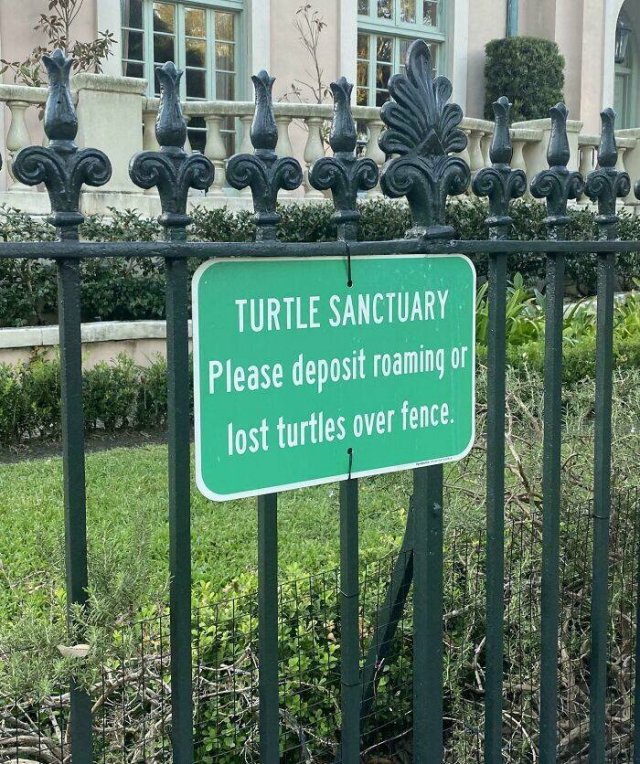 Interesting Finds From Around The World (23 pics)