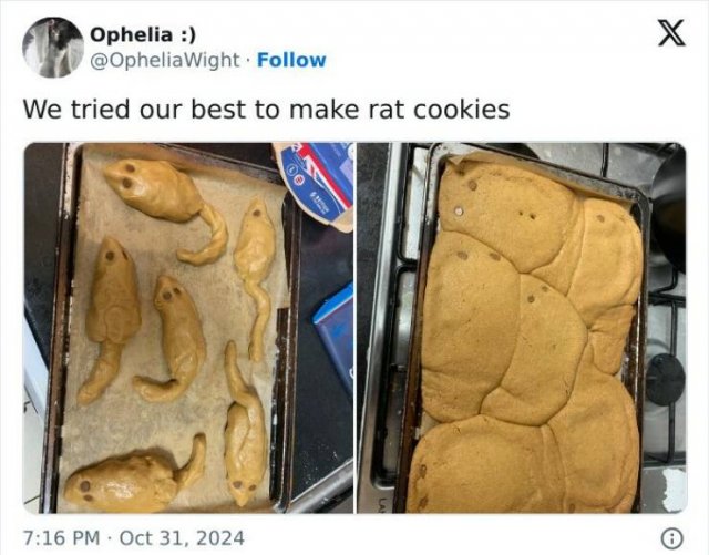 Cooking Disasters (24 pics)