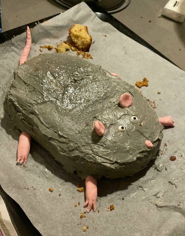 Cooking Disasters (24 pics)