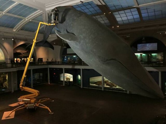 Interesting Finds From Around The World (23 pics)