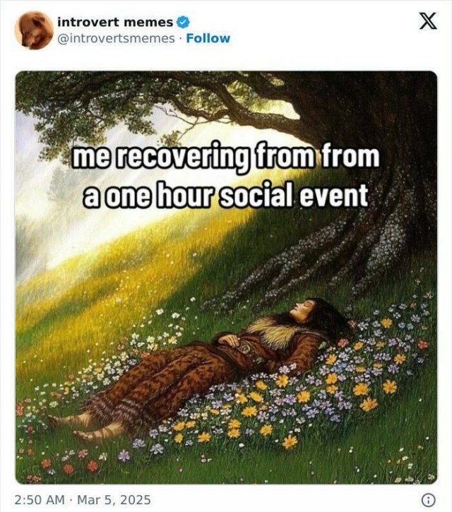 Memes For Introverts (25 pics)