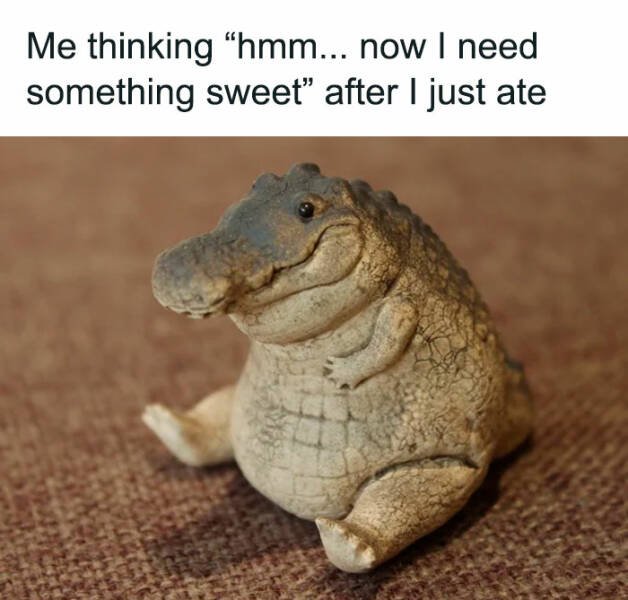 Funny Memes (24 pics)