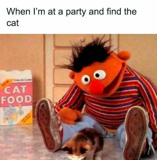 Funny Memes (24 pics)
