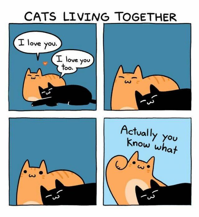 Funny Memes (24 pics)