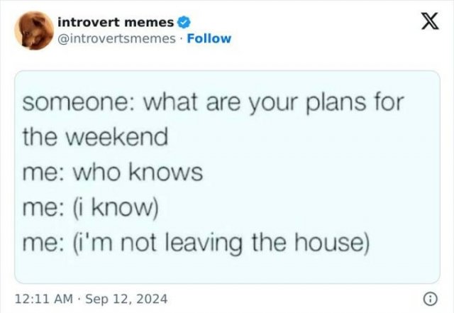 Memes For Introverts (25 pics)