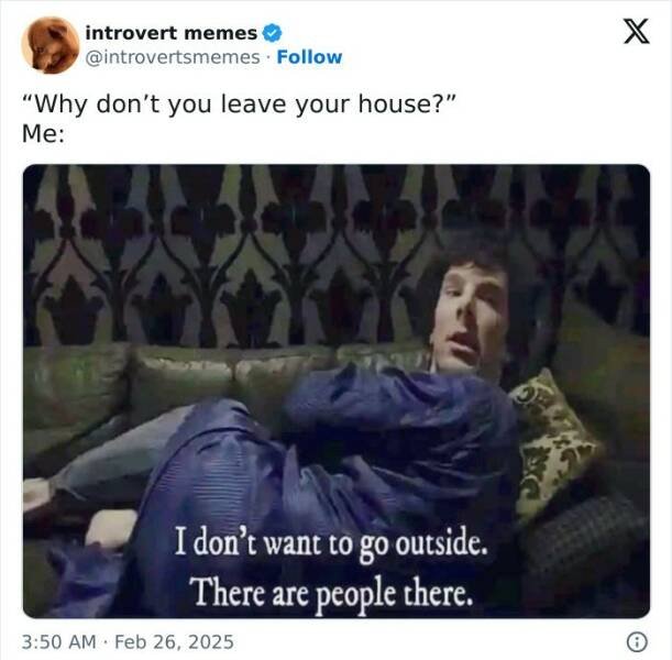 Memes For Introverts (25 pics)