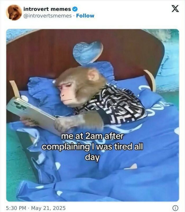 Memes For Introverts (25 pics)