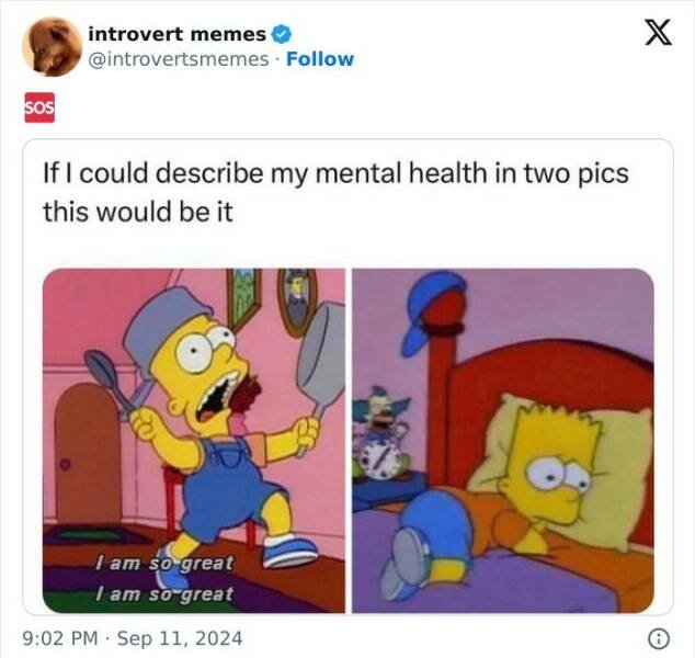 Memes For Introverts (25 pics)