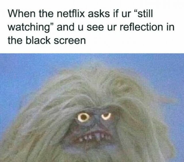 Funny Memes (24 pics)